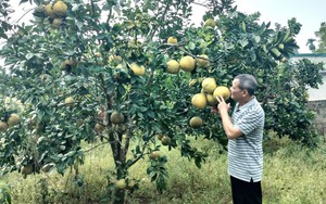 Ấn tượng ngày hội văn hóa, thể thao và du lịch các xã vùng cao huyện Tân Lạc - Ảnh 9.