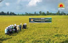 Lộc Trời dự kiến không chia cổ tức tiền mặt tới năm 2025
