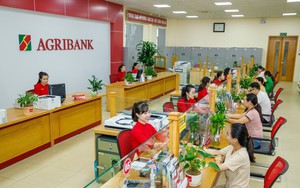 Agribank phát hành 10.000 tỷ đồng trái phiếu ra công chúng năm 2024