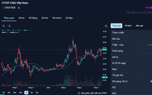 CNG Việt Nam: Lợi nhuận quý II tăng đột biến, cổ phiếu CNG 