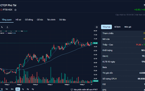 Phú Tài (PTB) báo lãi 248 tỷ đồng, cổ phiếu tăng 36% sau hơn 4 tháng