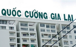 Quốc Cường Gia Lai lỗ nặng trong quý II, Cường 