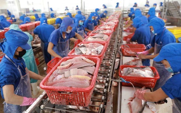 Một doanh nghiệp đặt mục tiêu lọt top 2 doanh nghiệp xuất khẩu cá tra lớn nhất cả nước, tăng vốn vượt 2.700 tỷ đồng