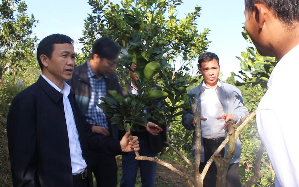 Đẩy mạnh hỗ trợ vốn, giúp hội viên nông dân phát triển kinh tế bền vững