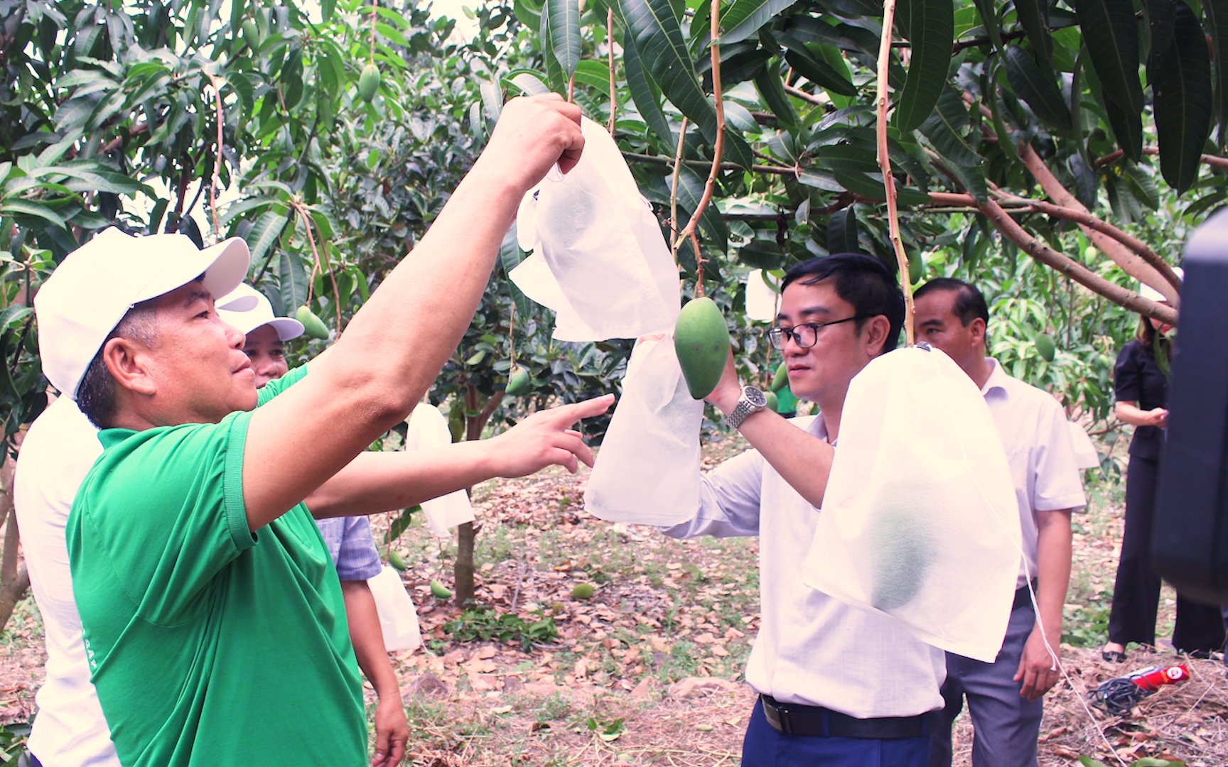 Hội Nông dân tỉnh Sơn La: Đẩy mạnh tư vấn, hỗ trợ, đào tạo nghề cho hội viên