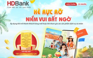 HDBank là doanh nghiệp niêm yết được nhà đầu tư yêu thích nhất - Ảnh 4.