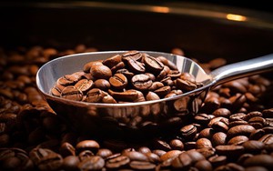 Giá Robusta lập đỉnh lịch sử mới, còn Arabica đạt mức cao nhất 2,5 tháng - Ảnh 7.