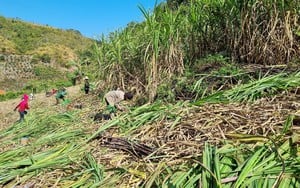 Bản Khá xây dựng du lịch gắn với nét văn hóa đồng bào dân tộc Thái - Ảnh 9.