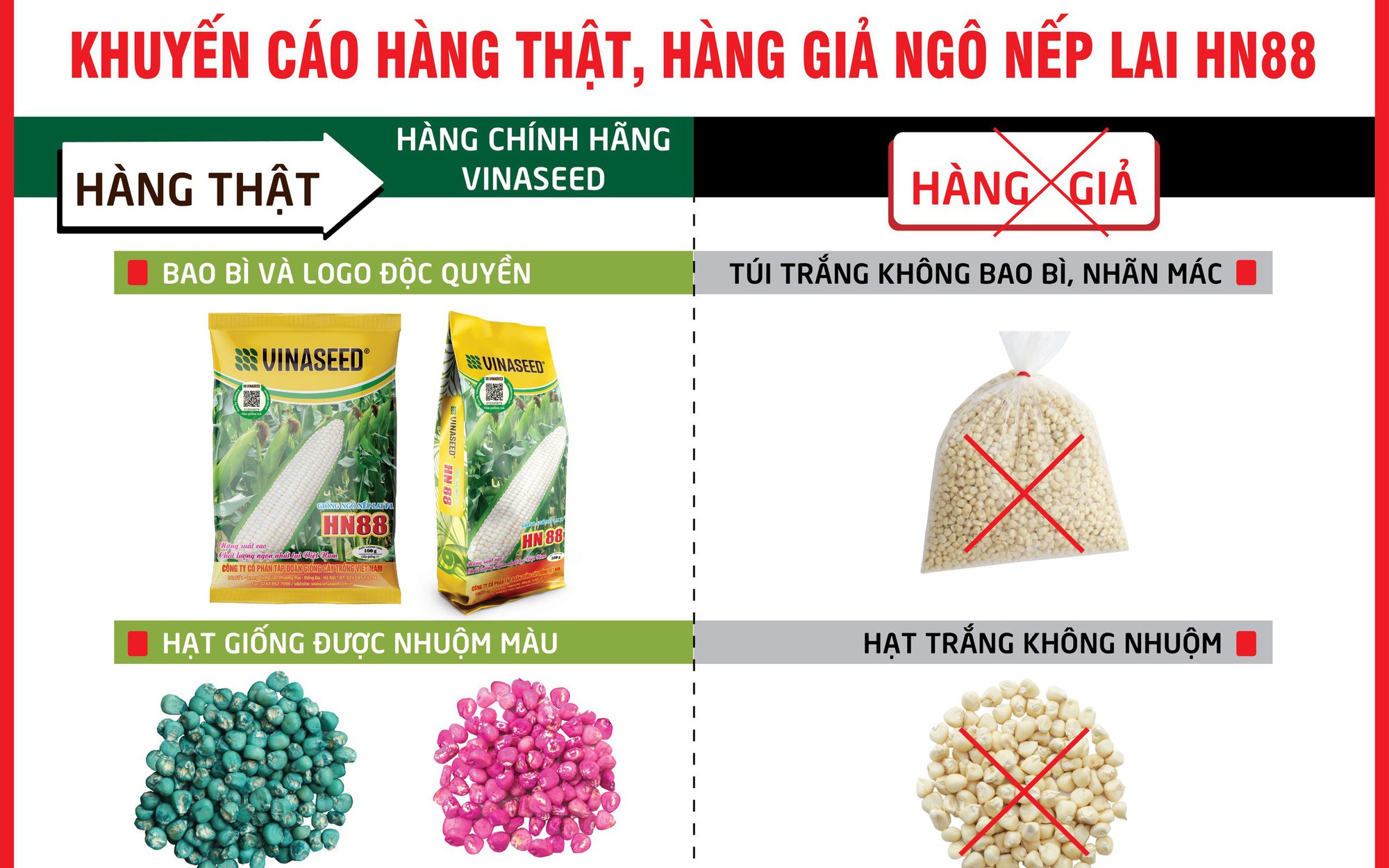 Hình thành vùng sản xuất giống lúa với quy mô lớn hàng trăm ha tại ĐBSCL - Ảnh 6.