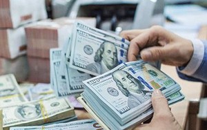 Giá USD hôm nay 28/8: Tỷ giá ngân hàng lao dốc, nhiều nhà băng chiều mua USD mất mốc 25.000 đồng- Ảnh 6.