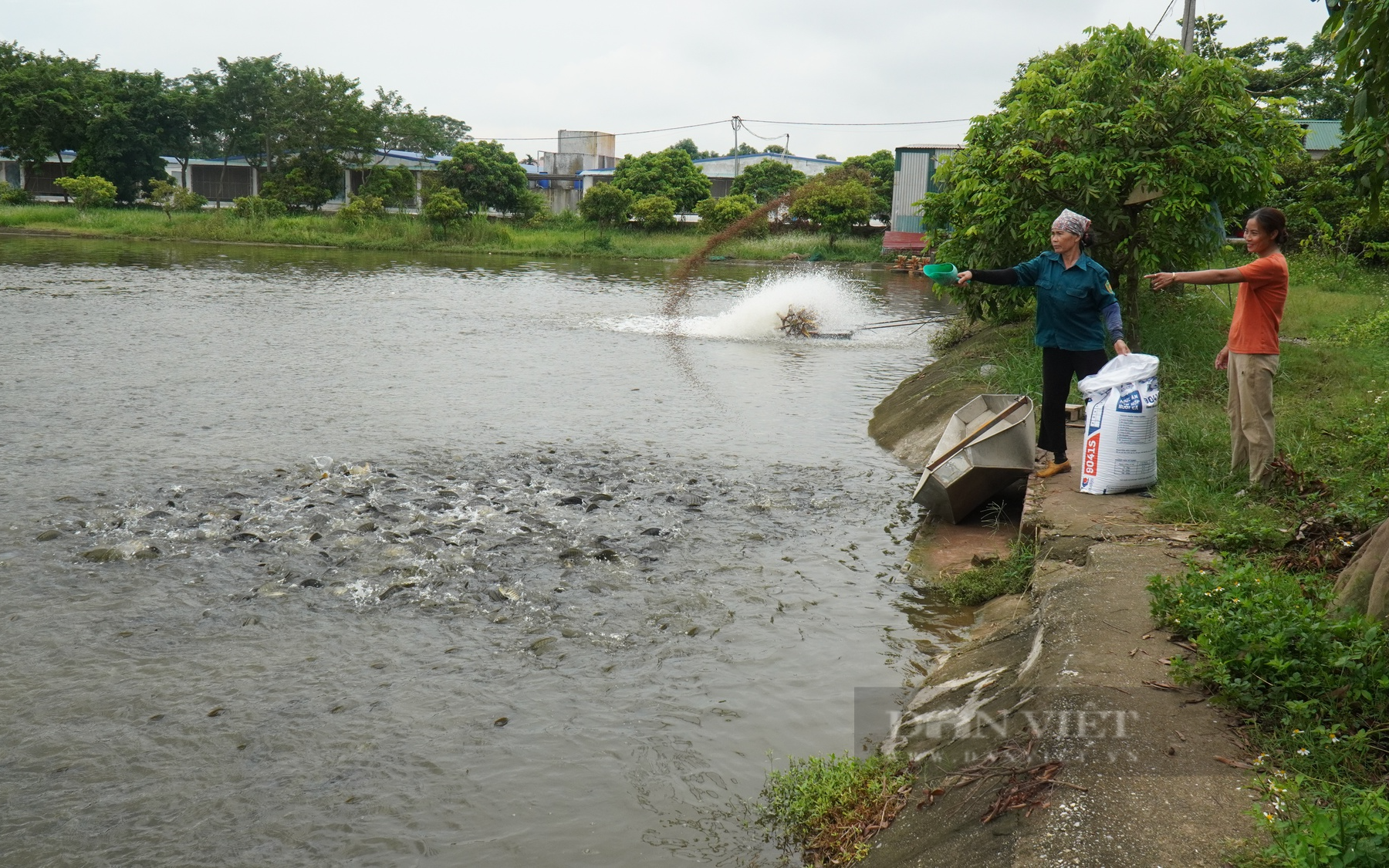 Bắc Ninh: Phó Chủ tịch UBND huyện Tiên Du được giới thiệu để bầu giữ chức Chủ tịch UBND huyện Gia Bình - Ảnh 4.