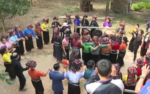 Yên Châu: Đẩy mạnh sản xuất vùng nông nghiệp ứng dụng công nghệ cao - Ảnh 6.