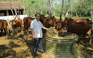 Phó Chủ tịch Quảng Nam yêu cầu huyện Tiên Phước đẩy mạnh giải ngân vốn đầu tư công đạt 100% kế hoạch - Ảnh 5.