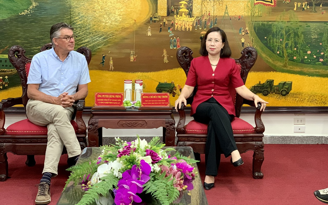 Y tế tư nhân ở Quảng Ngãi đầu tư để mở rộng và nâng tầm- Ảnh 9.