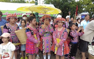 Mê mẩn mùa hồng chín trên cao nguyên Mộc Châu - Ảnh 9.