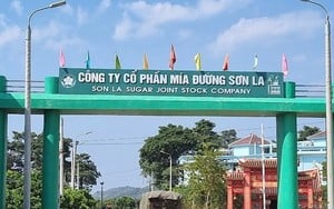 Sơn La: Có 1 Nông dân Việt Nam xuất sắc và biểu dương 1 HTX tiêu biểu toàn quốc được tôn vinh - Ảnh 8.