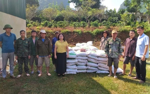 Yên Châu: Đẩy mạnh phát triển HTX, ngành nghề nông thôn, ứng dụng công nghệ cao trong sản xuất - Ảnh 3.