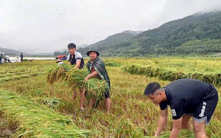 Điện Biên: Triển khai kế hoạch nâng cao chất lượng giáo dục phổ thông năm học 2024 – 2025   - Ảnh 7.