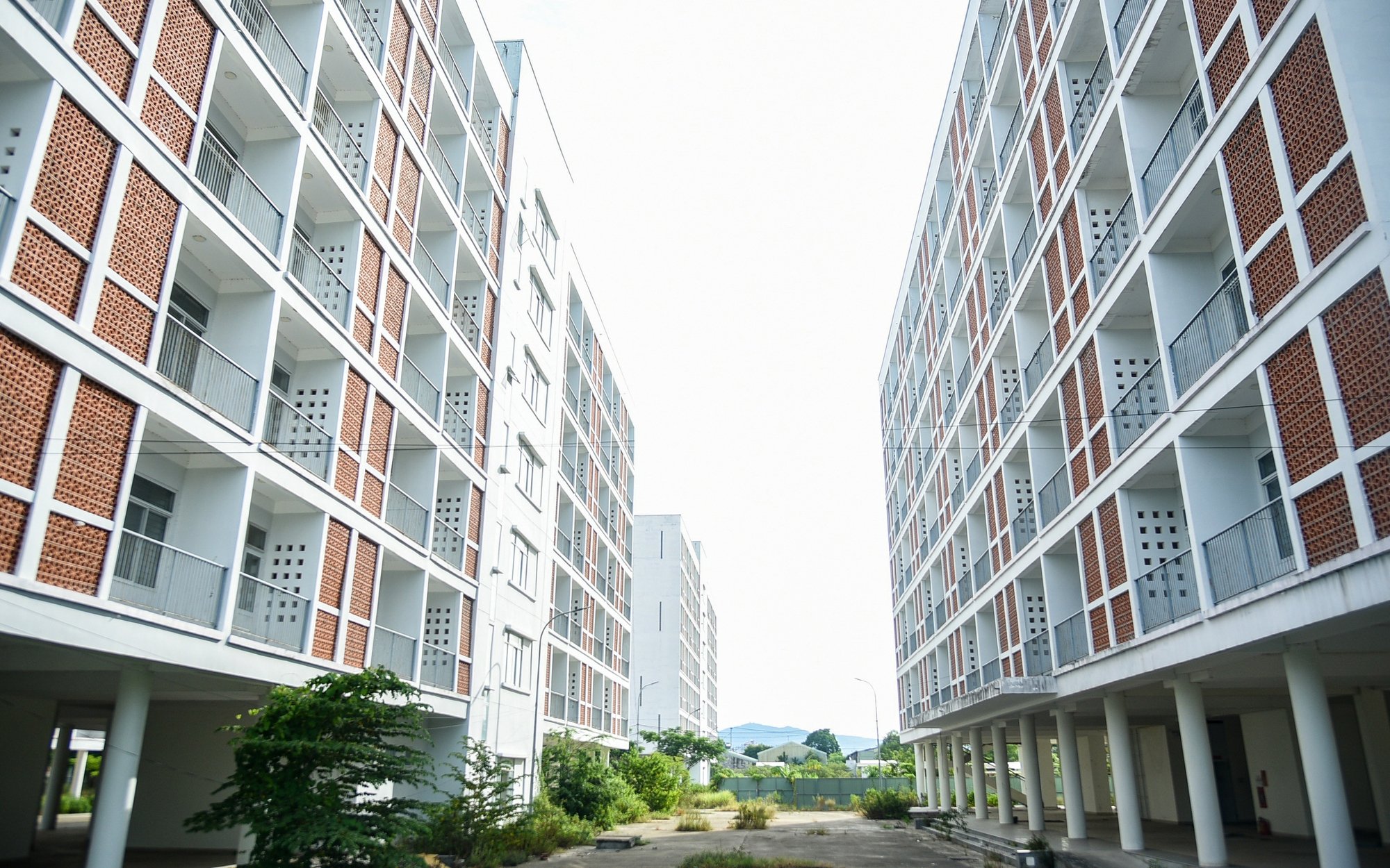 Xuất khẩu 8 tháng đầu năm đạt gần 6,3 tỷ USD, tăng gần 9% - Ảnh 2.