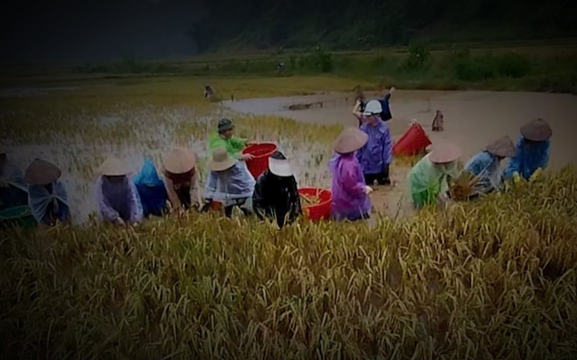 Hội Nông dân tỉnh Sơn La phát động ủng hộ đồng bào bị thiệt hại do cơn bão số 3 - Ảnh 7.