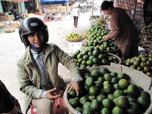 Giá rau quả đang tăng