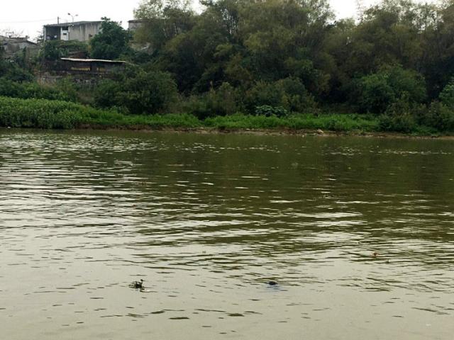 Điều tra vụ người đàn ông chân, tay bị trói chết dưới sông