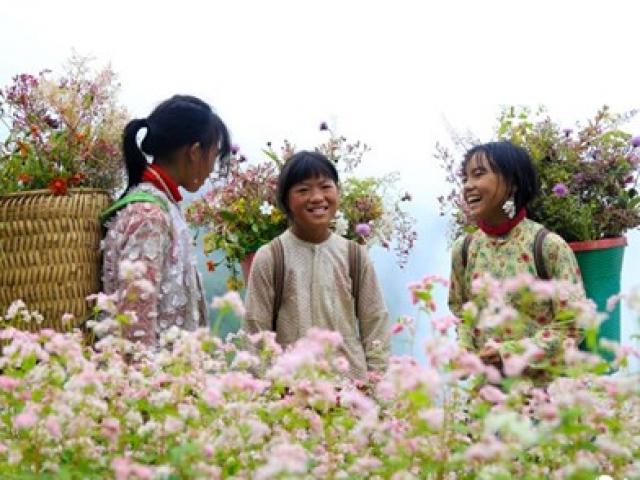Đến Hà Giang lạc lối giữa biển tam giác mạch, vấn vương nơi chợ tình Khâu Vai