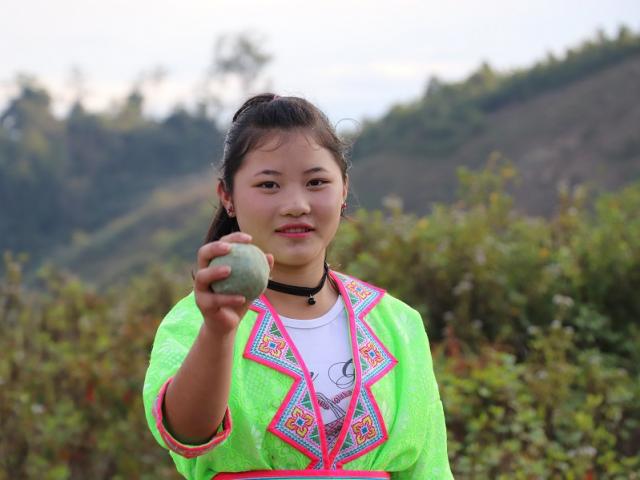 Ảnh:Tết Mông vượt mây mù xem thiếu nữ chơi "pó po" tìm bạn tình