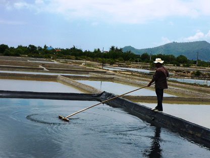 Diêm dân chuyển nghề sản xuất muối sạch