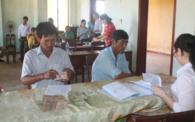 Quảng Ngãi: Giải ngân 2,9 tỷ đồng cho vay trồng hành, tỏi và nuôi bò
