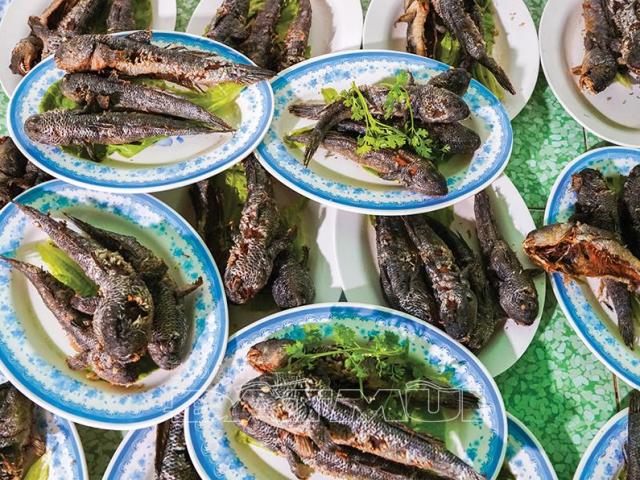 Về vùng đất 2 cồn xem dân đóng đáy, ăn cua luộc, cá thòi lòi chiên