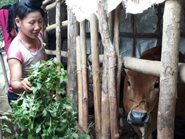 “Nhốt” rác dưới hố, dân xã Chiềng Đen sống khỏe