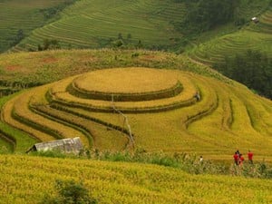 Hòa Bình: Dừng tổ chức Lễ hội ruộng bậc thang Miền Đồi để tập trung kinh phí khắc phục bão số 3 - Ảnh 3.