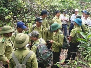 Quỹ bảo vệ và phát triển rừng Quảng Nam: Giữ vững “lá phổi xanh”