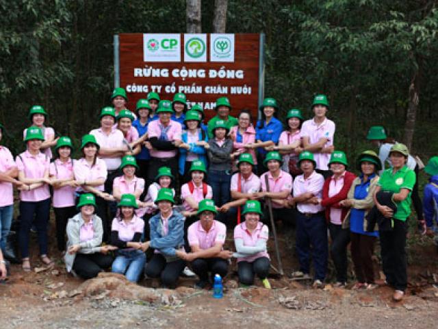 C.P Việt Nam chung tay trồng rừng bảo vệ môi trường xanh