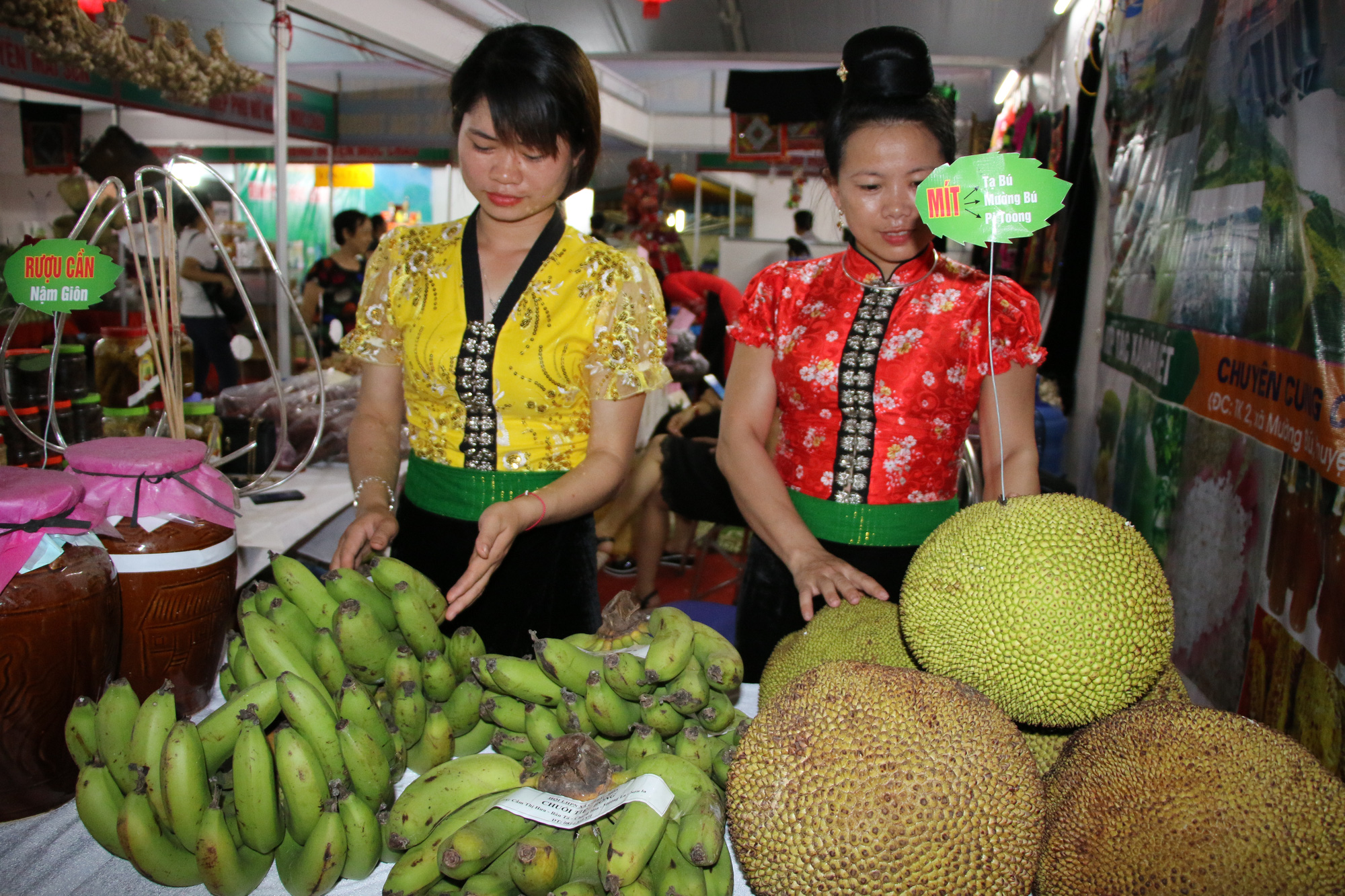Hiệu quả từ phong trào nông dân thi đua sản xuất, kinh doanh giỏi ở Sơn La - Ảnh 1. Hiệu quả từ phong trào nông dân thi đua sản xuất, kinh doanh giỏi ở Sơn La - Ảnh 1.