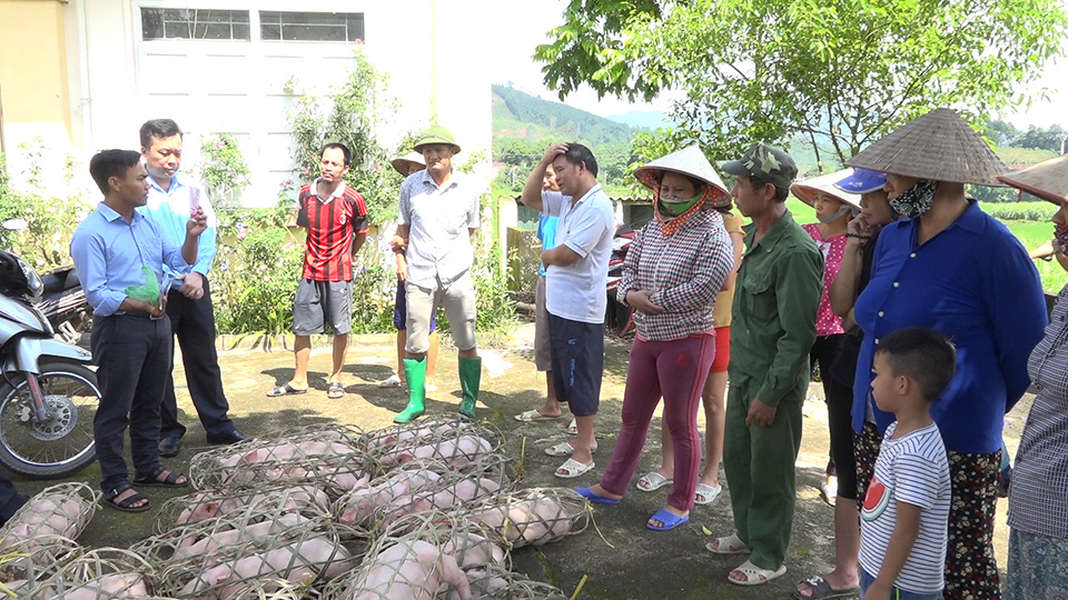 Những kết quả tiêu biểu sau 10 năm xây dựng NTM của tỉnh Quảng Ninh - Ảnh 4. Những kết quả tiêu biểu sau 10 năm xây dựng NTM của tỉnh Quảng Ninh - Ảnh 4.