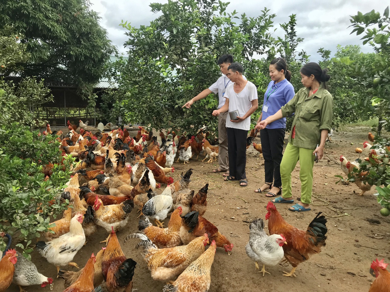 Những kết quả tiêu biểu sau 10 năm xây dựng NTM của tỉnh Quảng Ninh - Ảnh 7. Những kết quả tiêu biểu sau 10 năm xây dựng NTM của tỉnh Quảng Ninh - Ảnh 7.