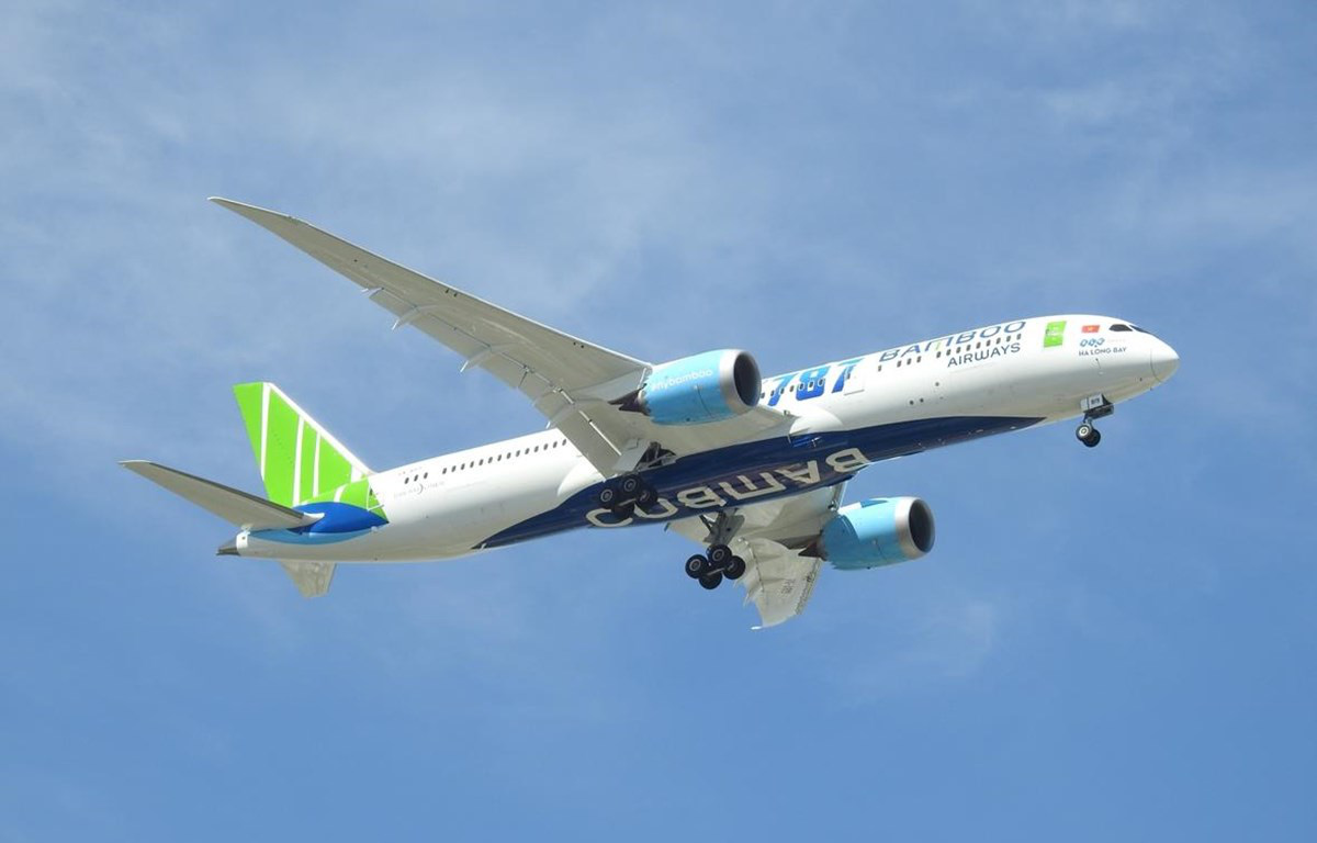 Bamboo Airways dự kiến sẽ niêm yết sàn chứng khoán vào quý 2/2020 - Ảnh 1. Bamboo Airways dự kiến sẽ niêm yết sàn chứng khoán vào quý 2/2020 - Ảnh 1.
