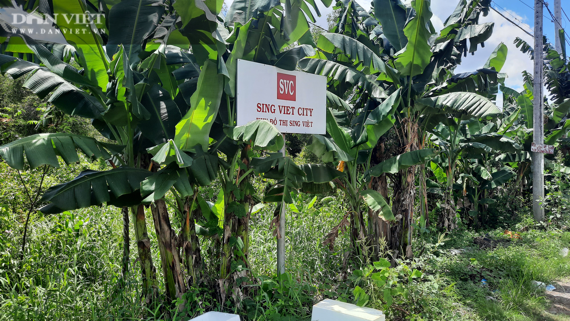 Có gì ở khu đô thị Sing – Việt bị treo hơn 20 năm? - Ảnh 3.