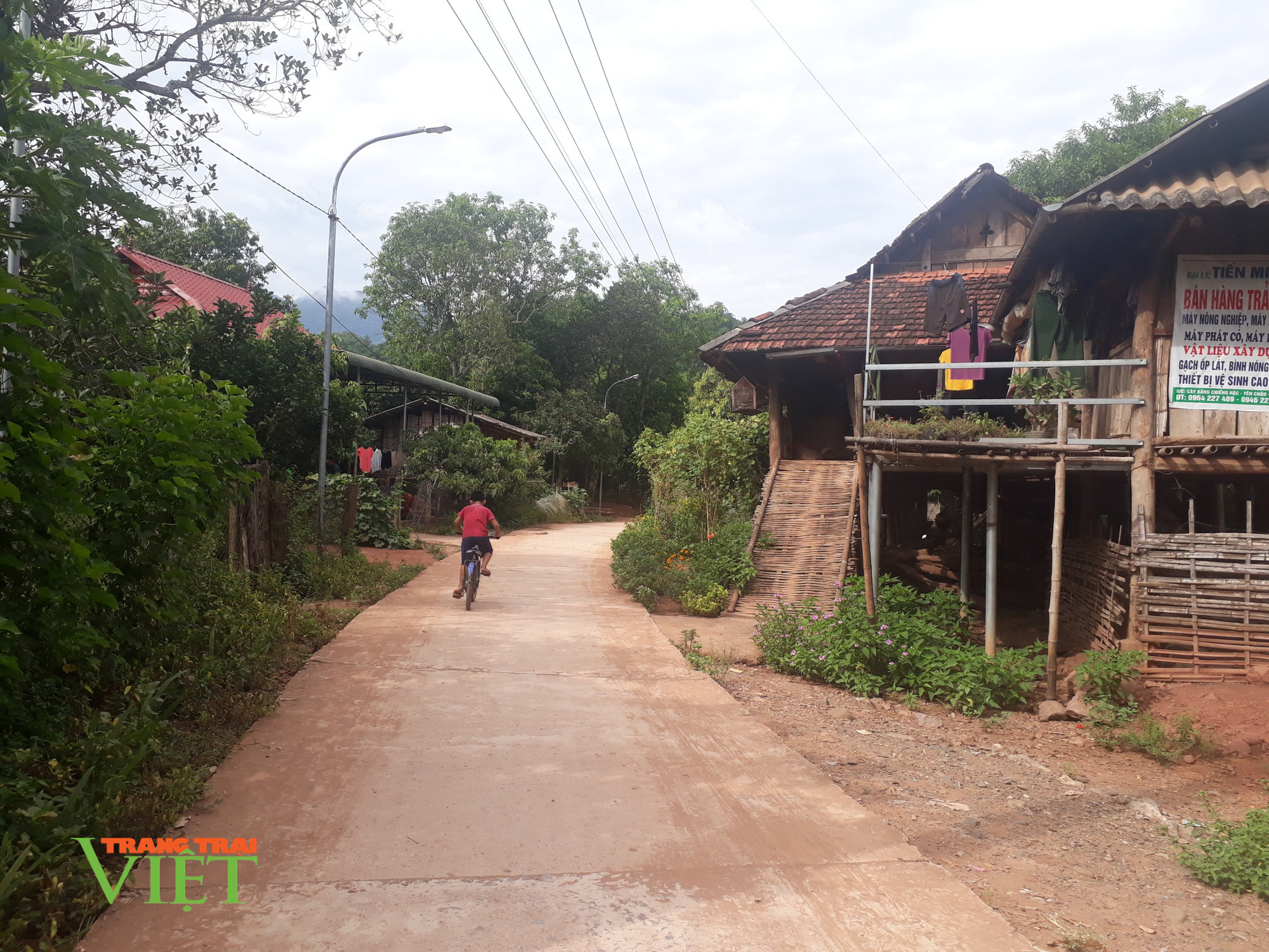 Sôi nổi phong trào làm đường giao thông nông thôn ở Yên Châu - Ảnh 3. Sôi nổi phong trào làm đường giao thông nông thôn ở Yên Châu - Ảnh 3.