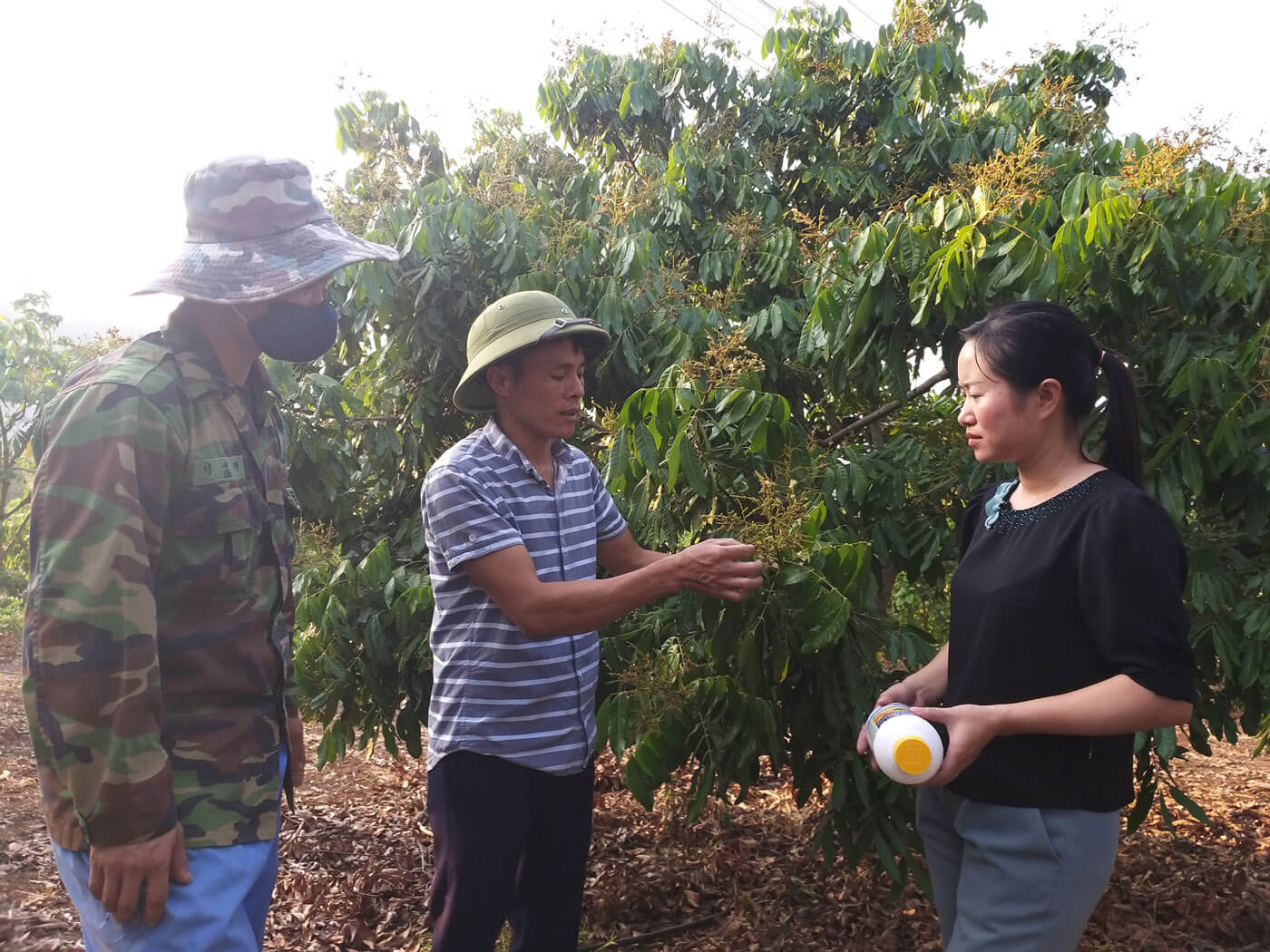 Kỷ niệm 40 năm ngày Lương thực thế giới: 3 thông điệp hướng về tương lai  - Ảnh 1.