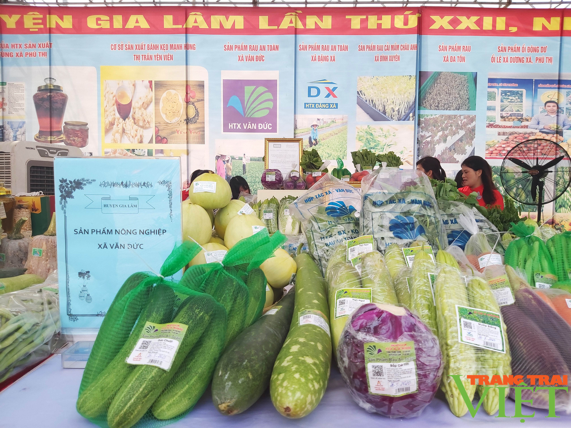 Hà Nội có nơi người dân trồng rau xanh không phun thuốc trừ sâu khiến khách Nhật, Hàn phải sang tận nơi mua - Ảnh 6. Hà Nội có nơi người dân trồng rau xanh không phun thuốc trừ sâu khiến khách Nhật, Hàn phải sang tận nơi mua - Ảnh 6.