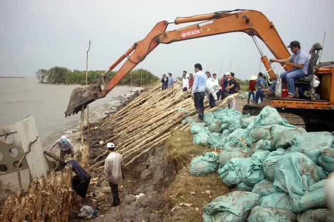 Sống lo âu bên đê biển Tây - Ảnh 2.