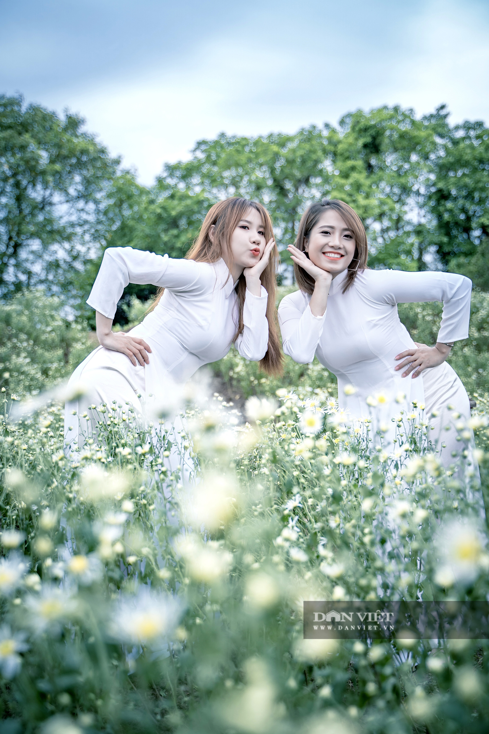 Thiếu nữ Hà thành duyên dáng bên cúc hoạ mi đầu mùa - Ảnh 5.