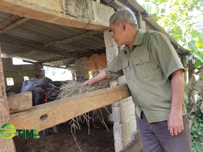 Lạng Sơn: Chuyển giao tiến bộ KHKT, hỗ trợ nông dân chăn nuôi, trồng trọt - Ảnh 1.