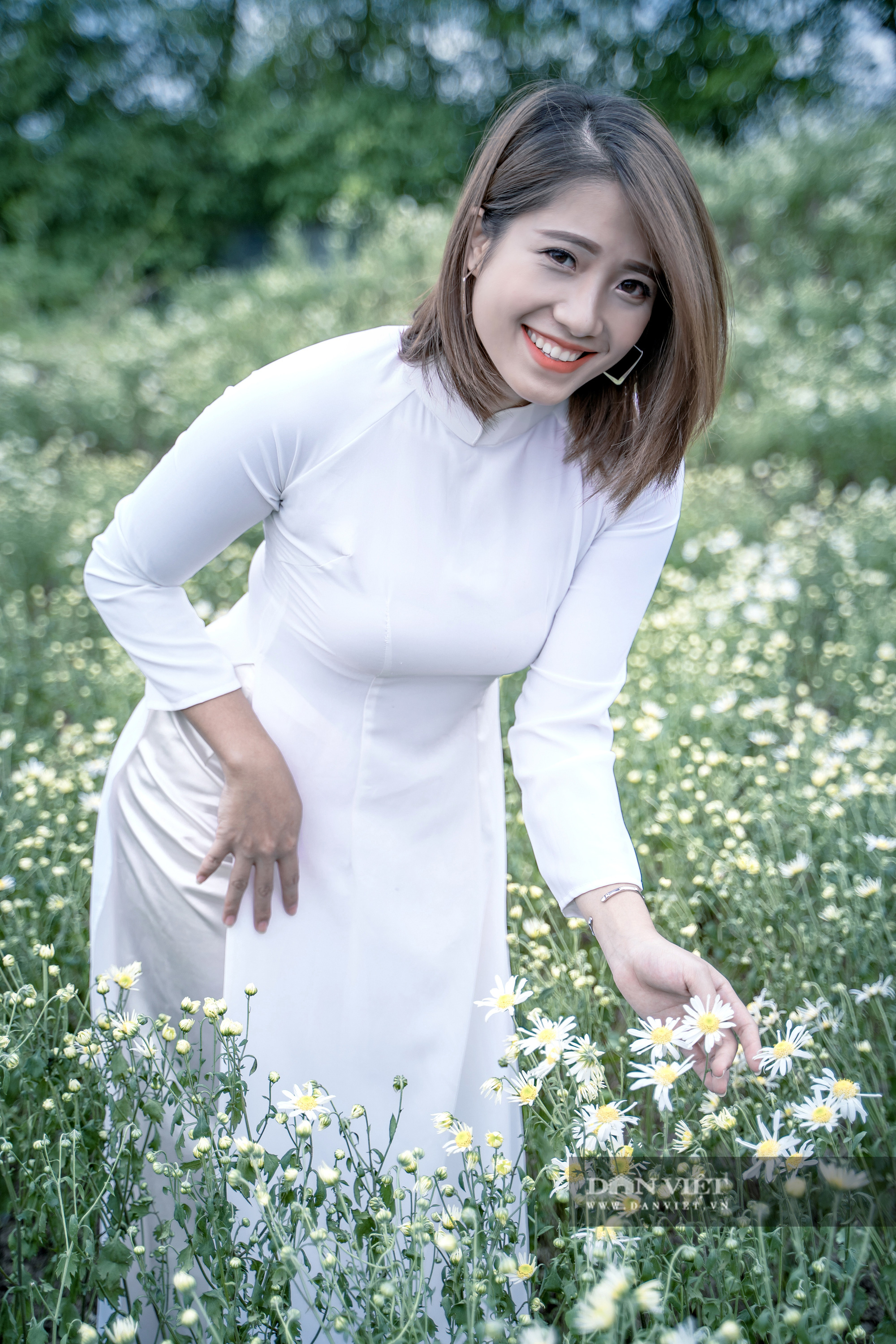 Thiếu nữ Hà thành duyên dáng bên cúc hoạ mi đầu mùa - Ảnh 5.
