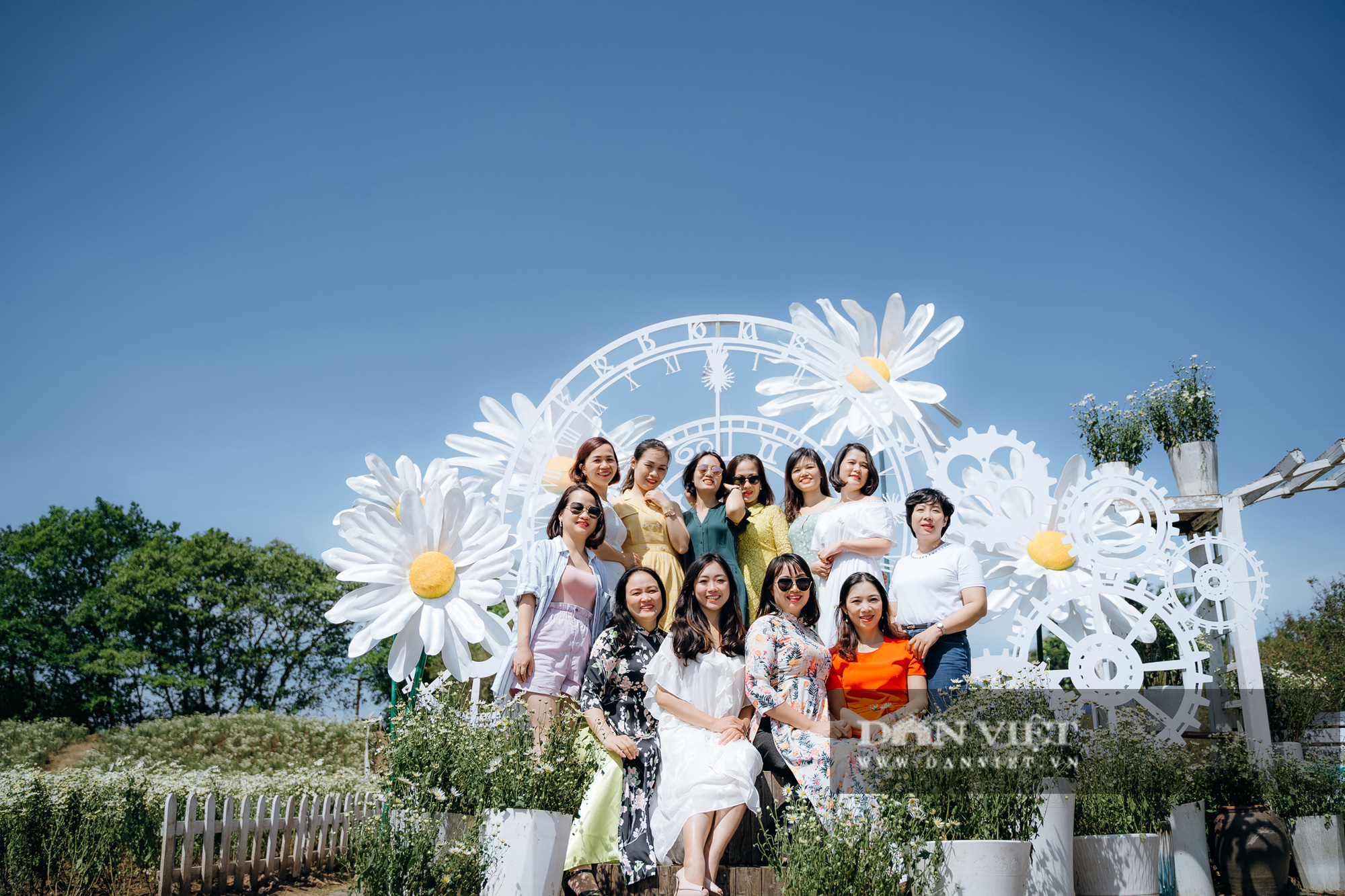 Thiếu nữ Hà thành duyên dáng bên cúc hoạ mi đầu mùa - Ảnh 7.