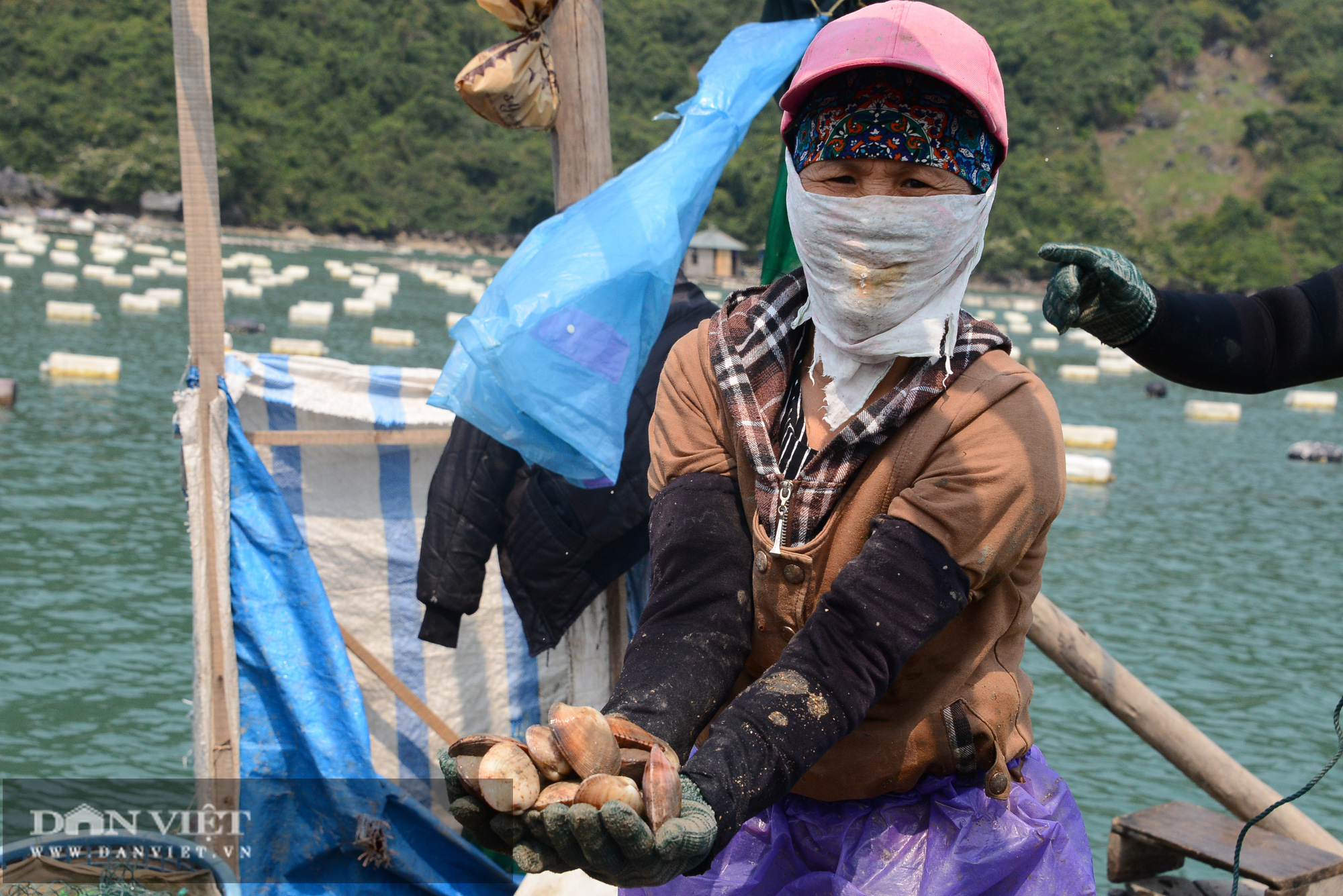 Quảng Ninh: Hơn 100 nghìn tấn thủy sản sắp thu hoạch, người nuôi &quot;nhấp nhổm&quot; - Ảnh 4.