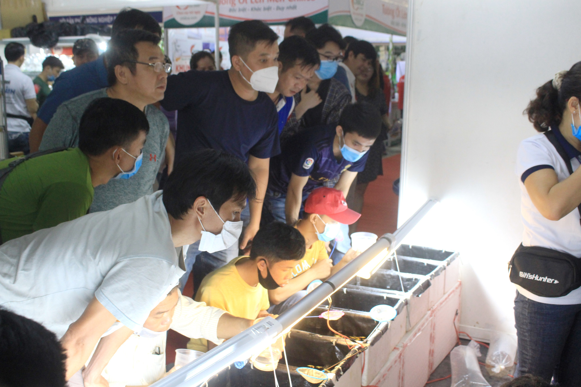 Gạo ST, nước mắm truyền thống, cá cảnh… hút người Sài Gòn tại hội chợ nông, lâm, thủy sản - Ảnh 4.